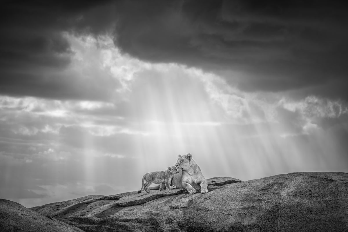 2421674 :: Giclée Fine Art Matte Paper Print